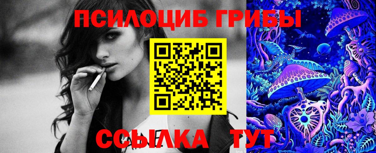 Псилоцибиновые грибы Cubensis  Вход с VPN  Междуреченск 